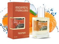 Тестер Escentric Molecules Molecule 01 + Mandarin 58 мл