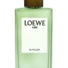 Loewe Aire Sutileza 100 мл